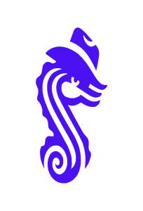 Saddle Finance