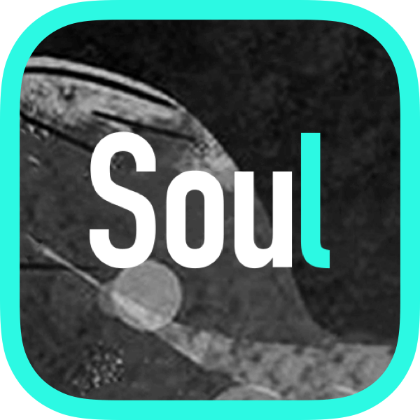 Soul