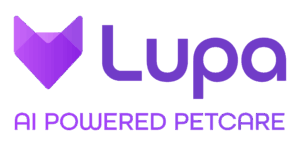 Lupa