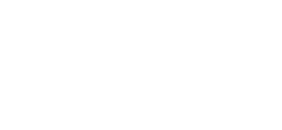 OptiMobile