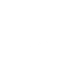 Whistle
