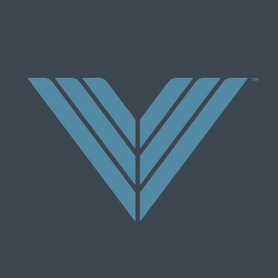 Vanguard International Group