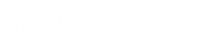 Merlin Labs