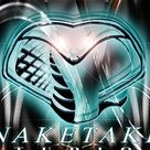 Snaketakes Studios Inc.