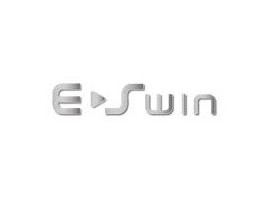 E-SWIN