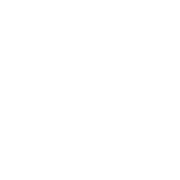 Jeteye