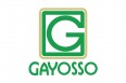 Gayosso