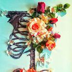 Medicine Unveiled