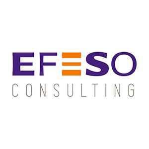 EFESO Consulting