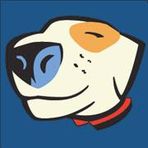 DIY Pet Grooms