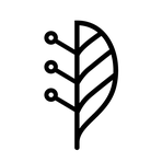 Lindera