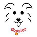 Dogster
