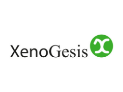 XenoGesis
