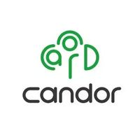 Candor Intelligent Technology