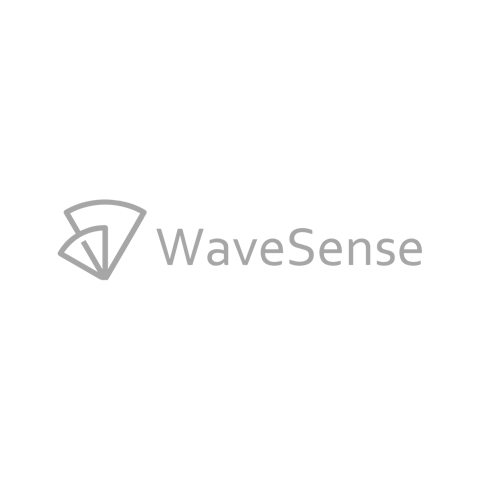 WaveSense