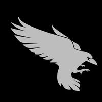 RAVN Aerospace