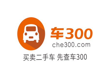 Che300