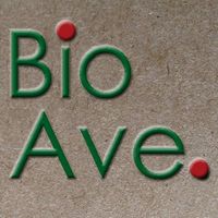 Bio Avenue Inc.