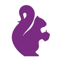 Curate Partners