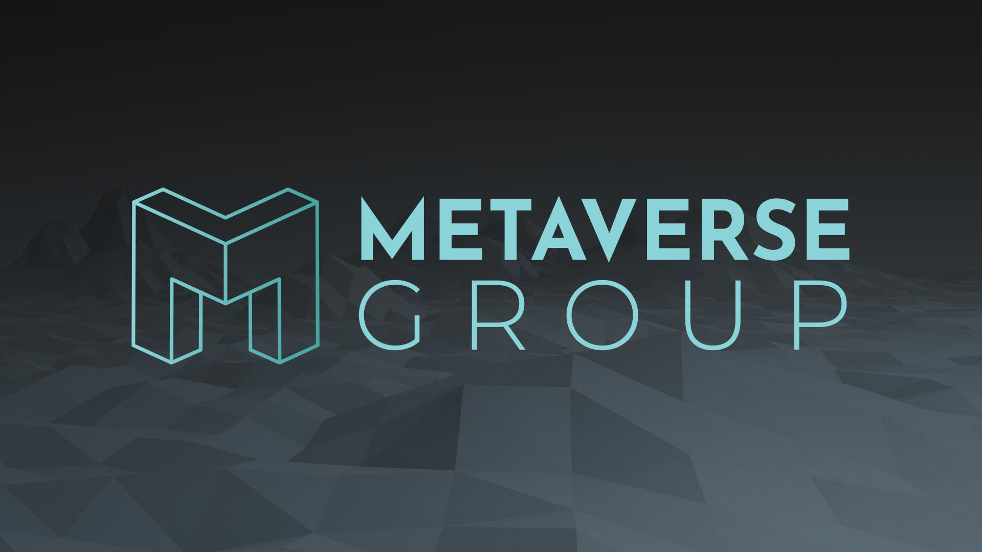 Metaverse Group