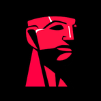 Kingston Technology