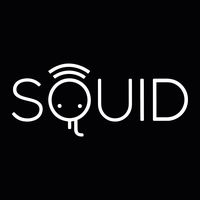 Squid Loyalty
