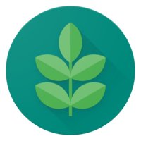 Ash Foundation