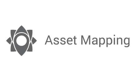 ASSET MAPPING