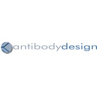 Antibody Design