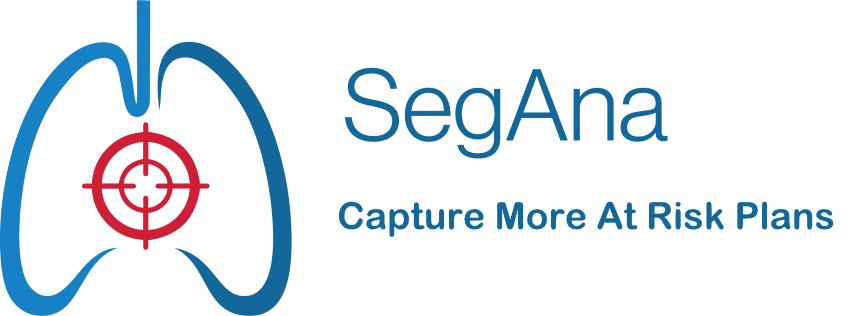 SegAna
