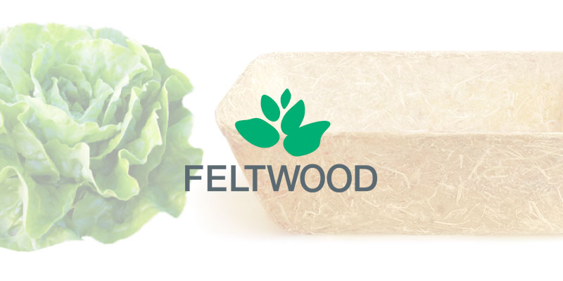 Feltwood Ecomateriales