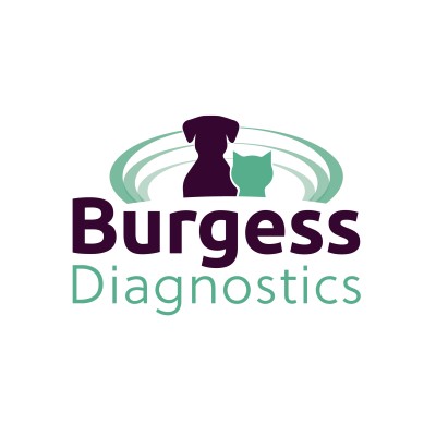 Burgess Diagnostics Ltd