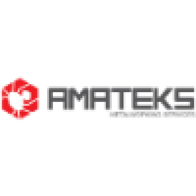 AMATEKS LTD