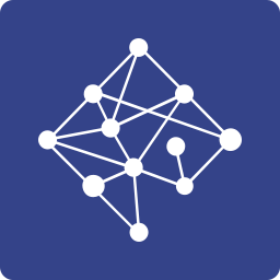 Network Perspective