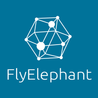 FlyElephant