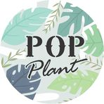 Pop Plant