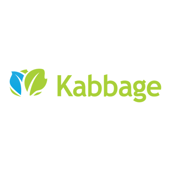 Kabbage from American Express