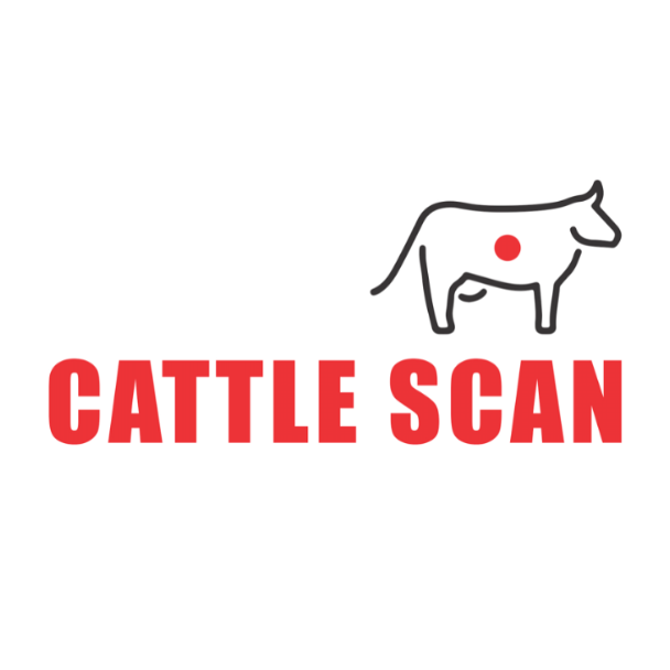 Cattle Scan