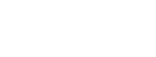 Goldin Auctions