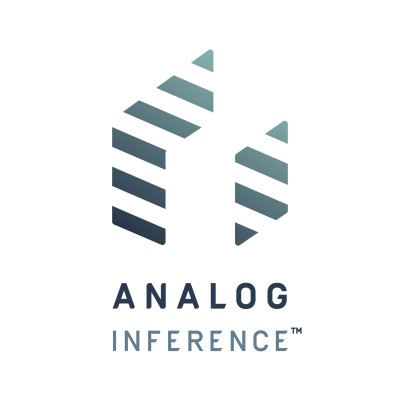 Analog Inference