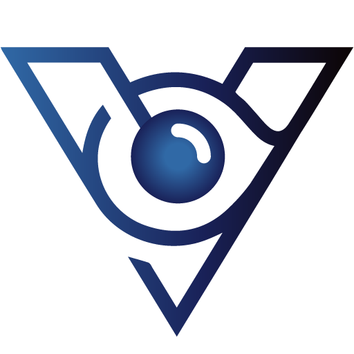 V-Vision