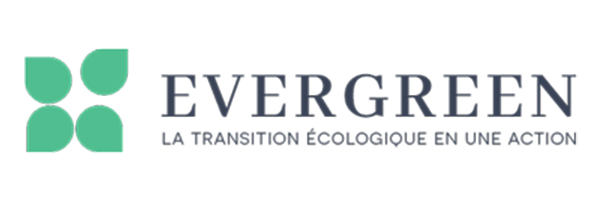 Transition Evergreen