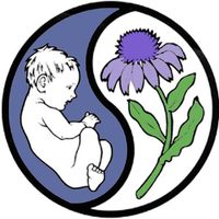 Seattle Naturopathy & Acupuncture Center
