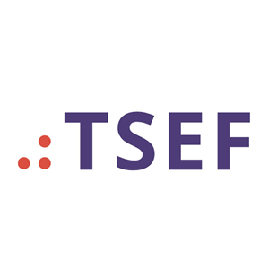 The Social Entrepreneurs' Fund